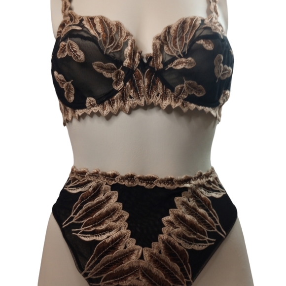 Lise charmel Other - Lise Charmel Vintage 3 Piece Set Bra Embroidered 2 Pair Full Plume Sheer Bottoms